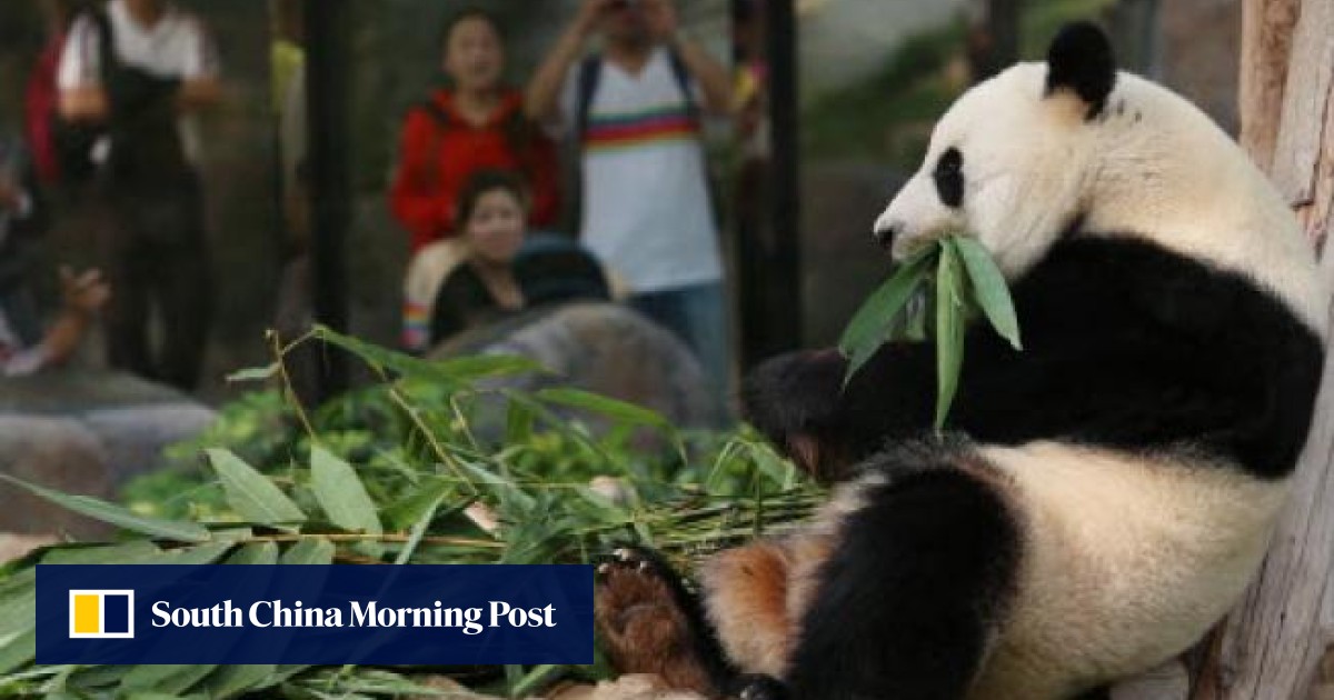 internet dating australia