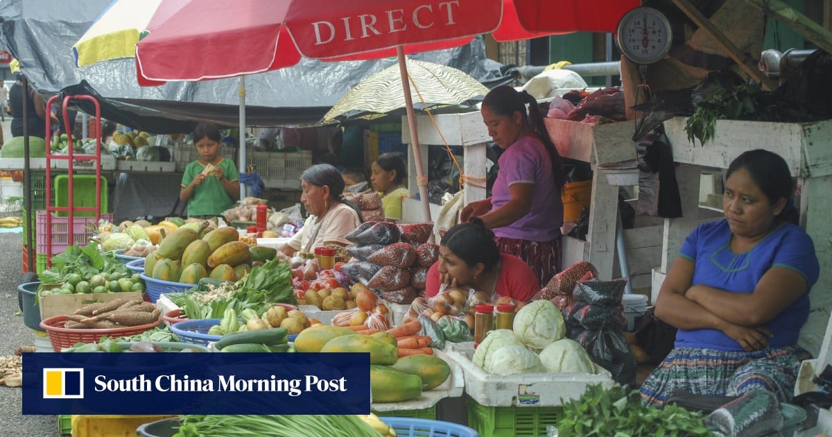 Coast effective: a culinary adventure in Belize | South China Morning Post