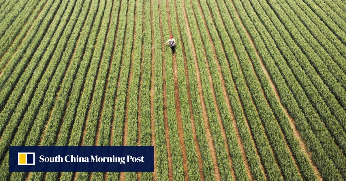 Report points to local opposition to Beijing’s land reform efforts