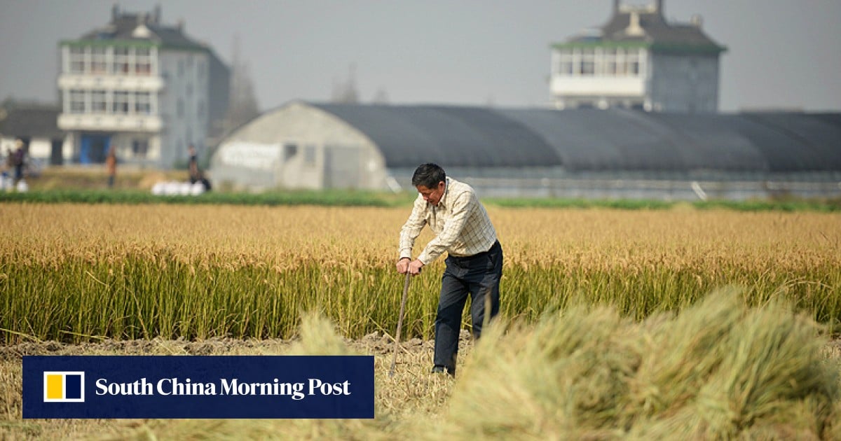China’s farmers await revolution in land reform South China Morning Post