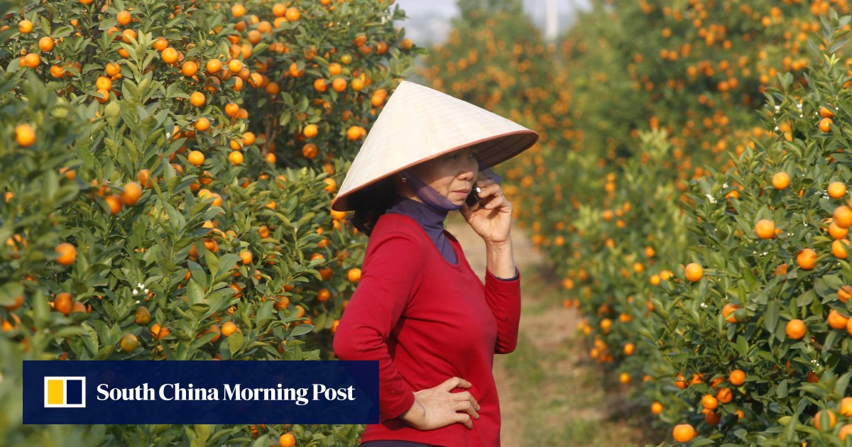 Vietnam's economy hurt by 'prolonged' Lunar New Year holidays, critics