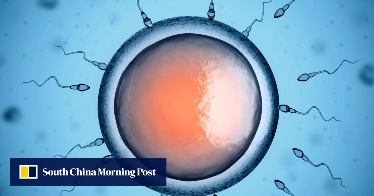 Sperm cells made from skin tissue offer hope for infertile men South