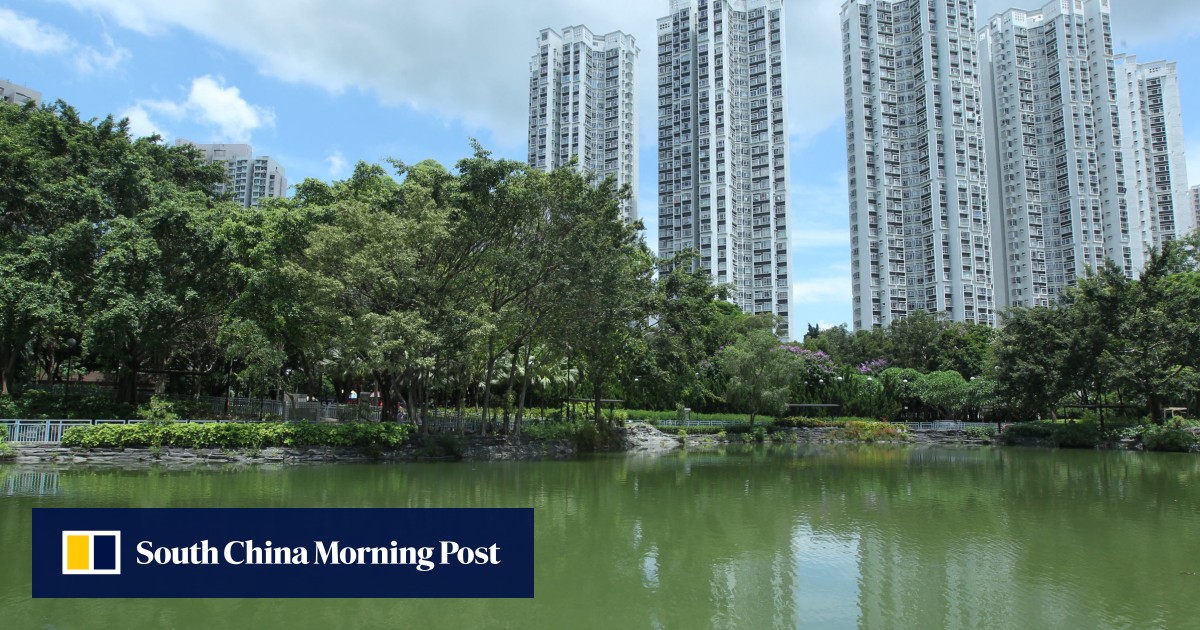 Records fall as prices of small flats rebound South China Morning Post