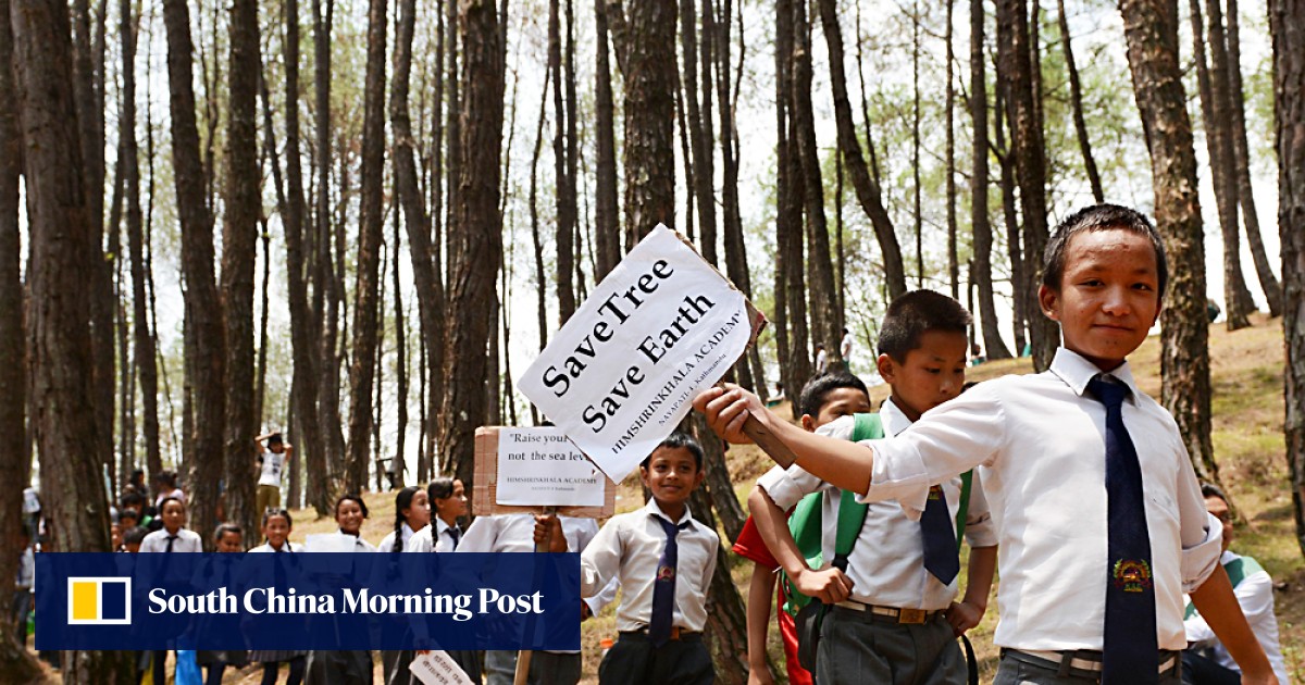 2000 Nepalese Tree Huggers Claim World Record South China Morning Post