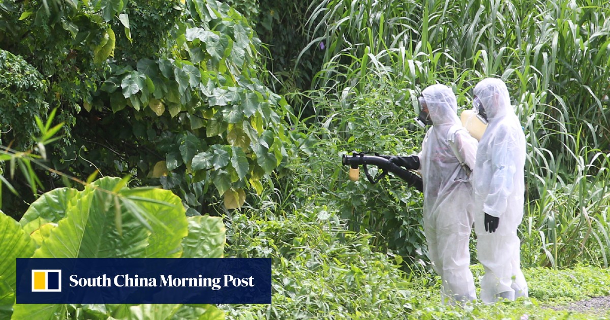 First case of Japanese encephalitis confirmed South China Morning Post