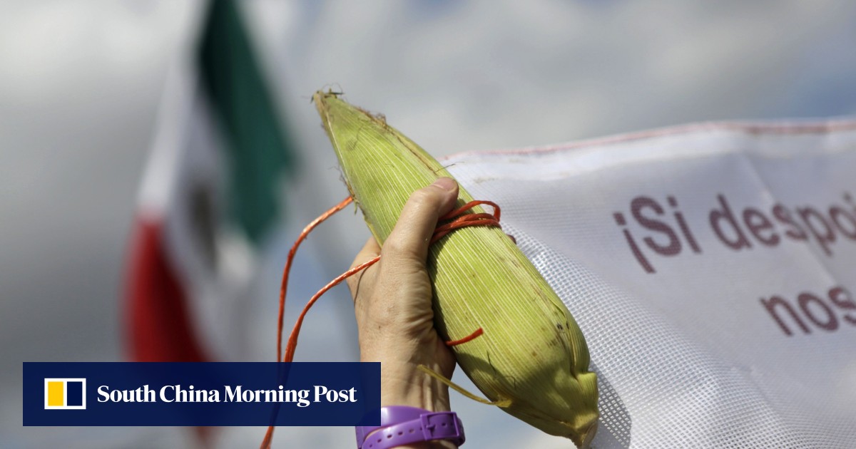 China should impose tougher checks on modified soy imports