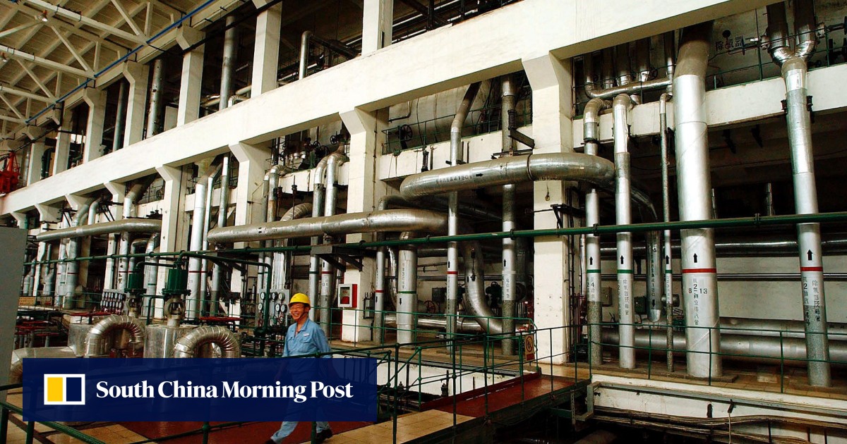 Shanghai Electric Power looks at German acquisition opportunity South