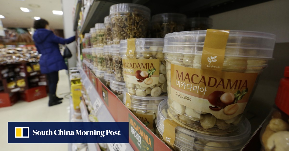 Airline executive’s ‘nut rage’ boosts sales of macadamias in South