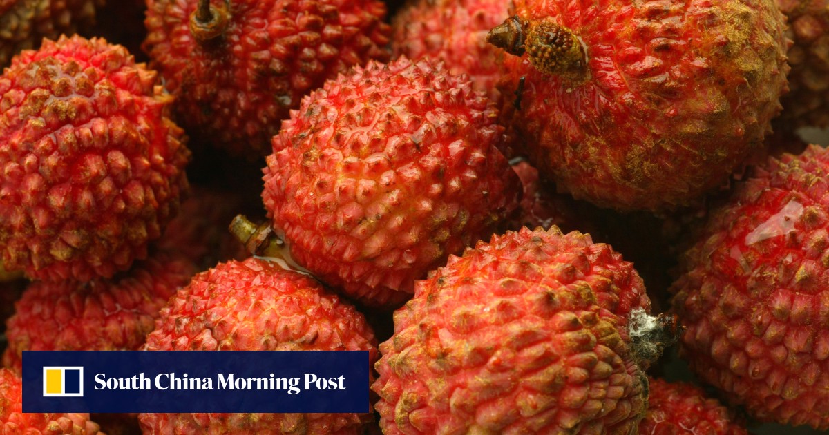 Mystery brain illness killing children in India may be linked to