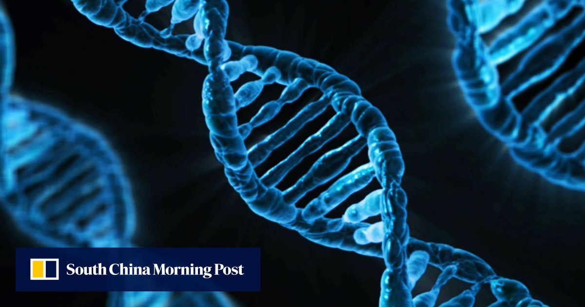 Chinese Scientists Genetically Modify Human Embryos For The First Time chinese-scientists-genetically-modify-human-embryos-for-the-first-time