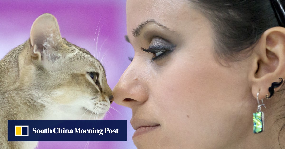 'Tom and Jerry Syndrome' Highpitched sounds trigger seizures in