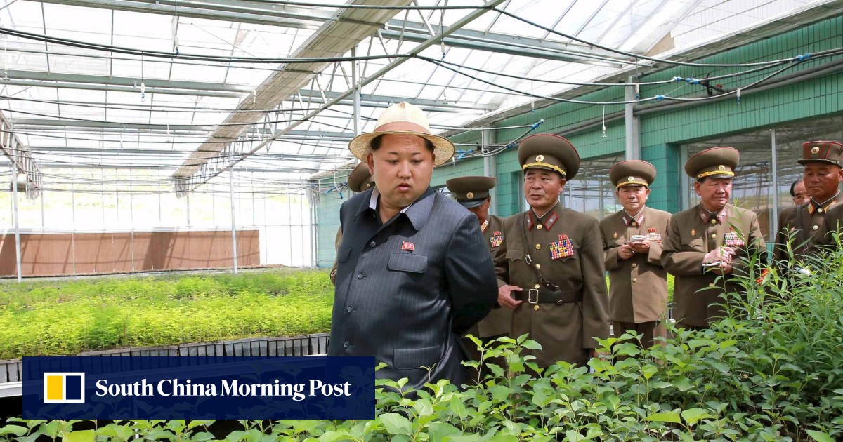 Huge food shortages 'could leave North Korea hungry after lowest