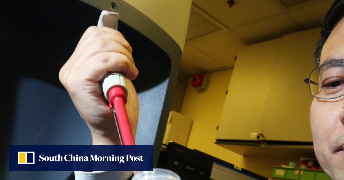 Hong Kong's Polytechnic University develops faster system to identify