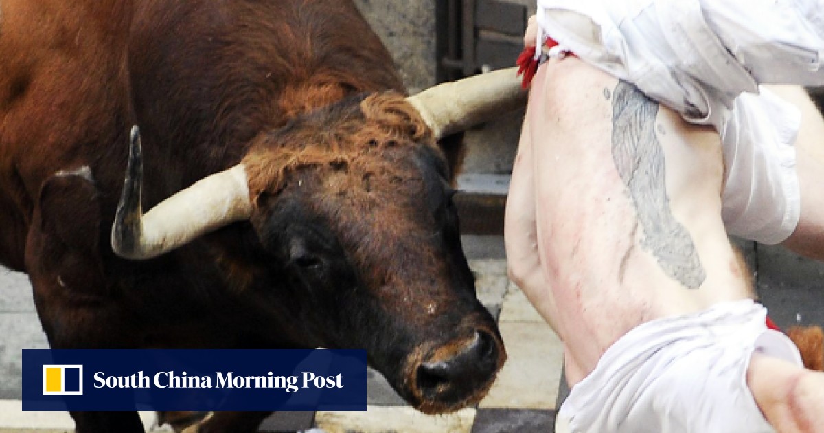 Four more gored to death across Spain as surge in bull-run casualties