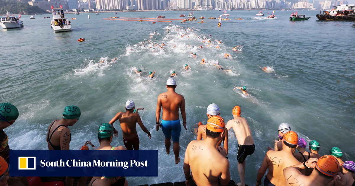 Taking the plunge Record number of entries for Hong Kong's iconic
