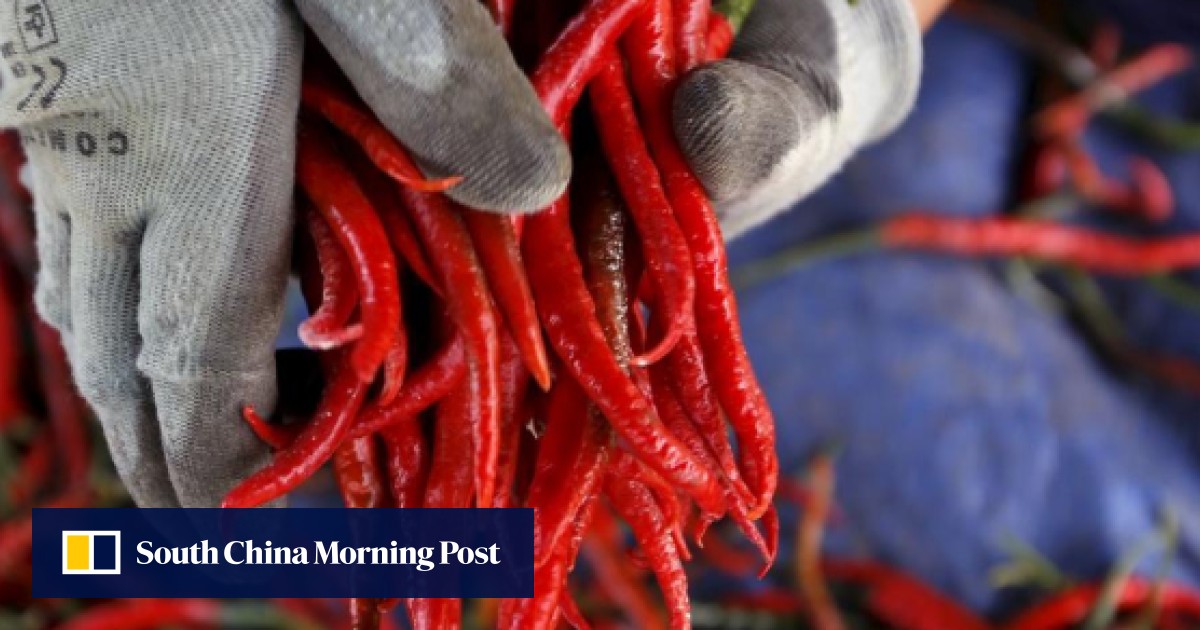 Chilli can kill cancer cells; bad sleepers at risk of heart disease