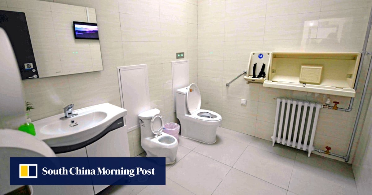 China's next revolootion Beijing offers glimpse of public toilet