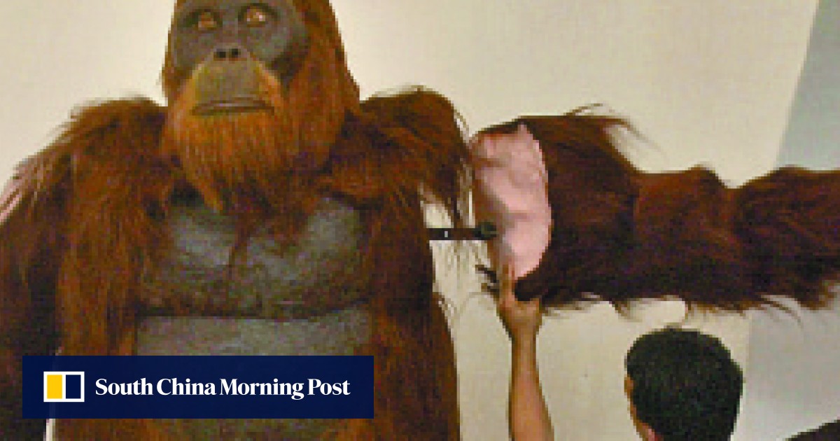 King Kong in Hong Kong giant ape fossil was found in a 1930s