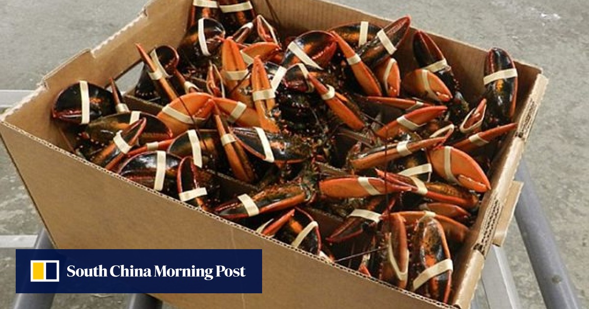 Top 10 Food Delivery Companies South China Morning Post