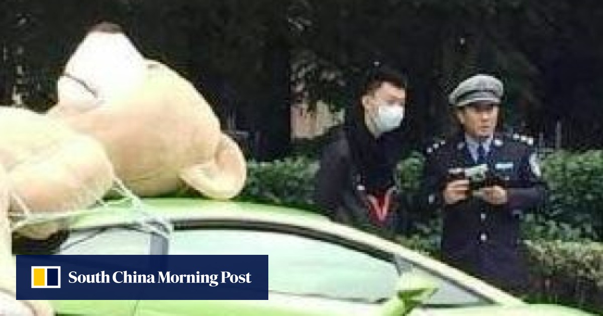 More than he can bear TV reporter in China pulls over with giant teddy strapped to
