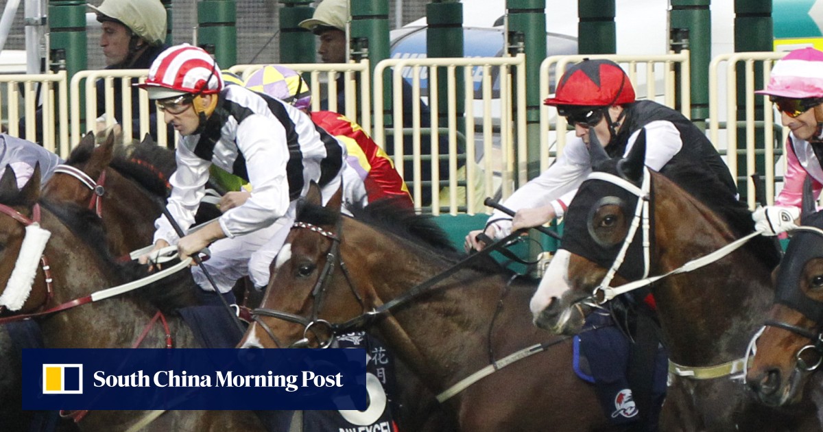 Scmp Racing SCMP big winner with coverage of 2015 Longines Hong Kong International ...