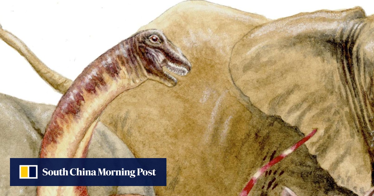 first newborn dinosaur 2020