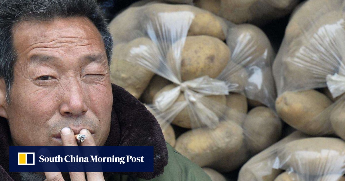 China’s exemptions to smoking ban ‘undermine’ fight against tobacco at
