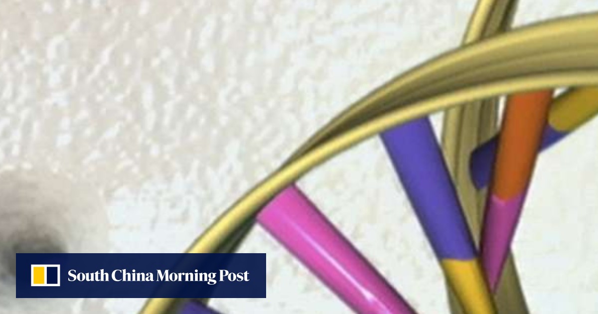 Scientists propose creating synthetic human DNA to use in experiments