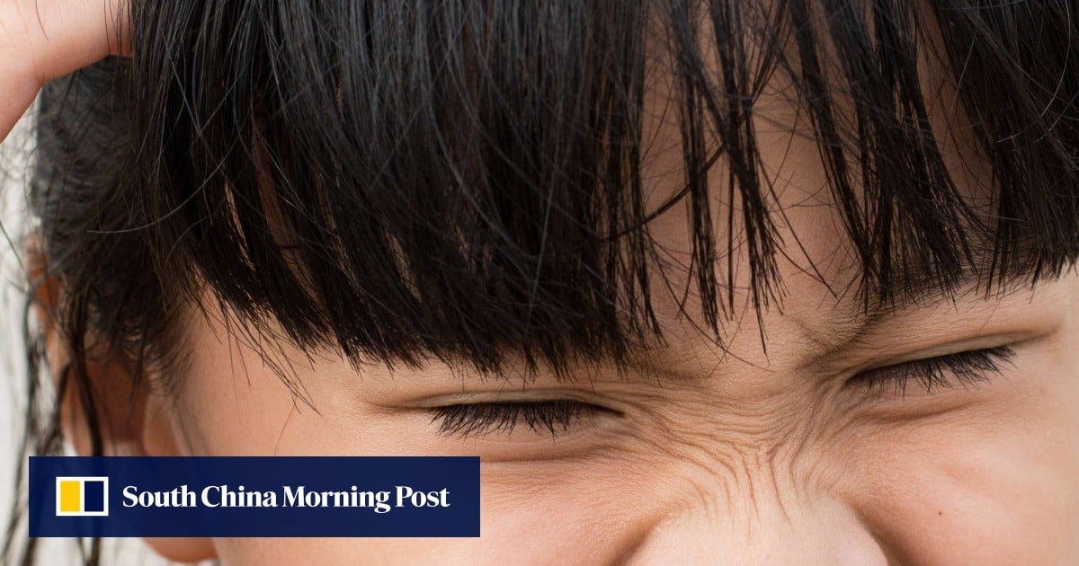 Why Don T Hong Kong Schools Perform Head Checks For Lice South