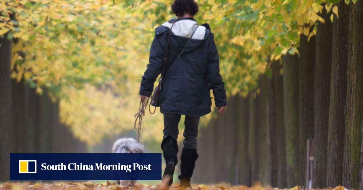 Why owning a dog in Hong Kong is still harder than in many