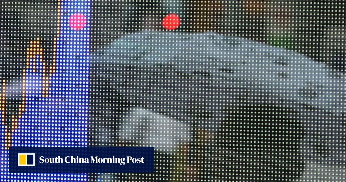 China stocks bounce back to onemonth high, investors await GDP data