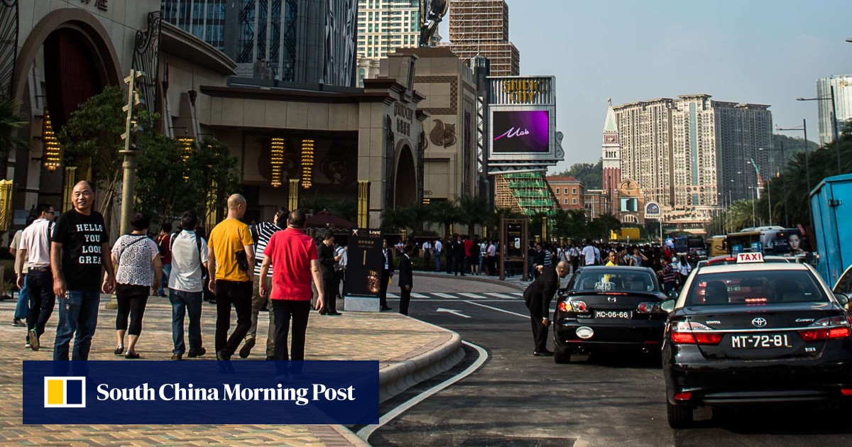 Macau bans live chicken sales, ready to cull 10,000 birds after man