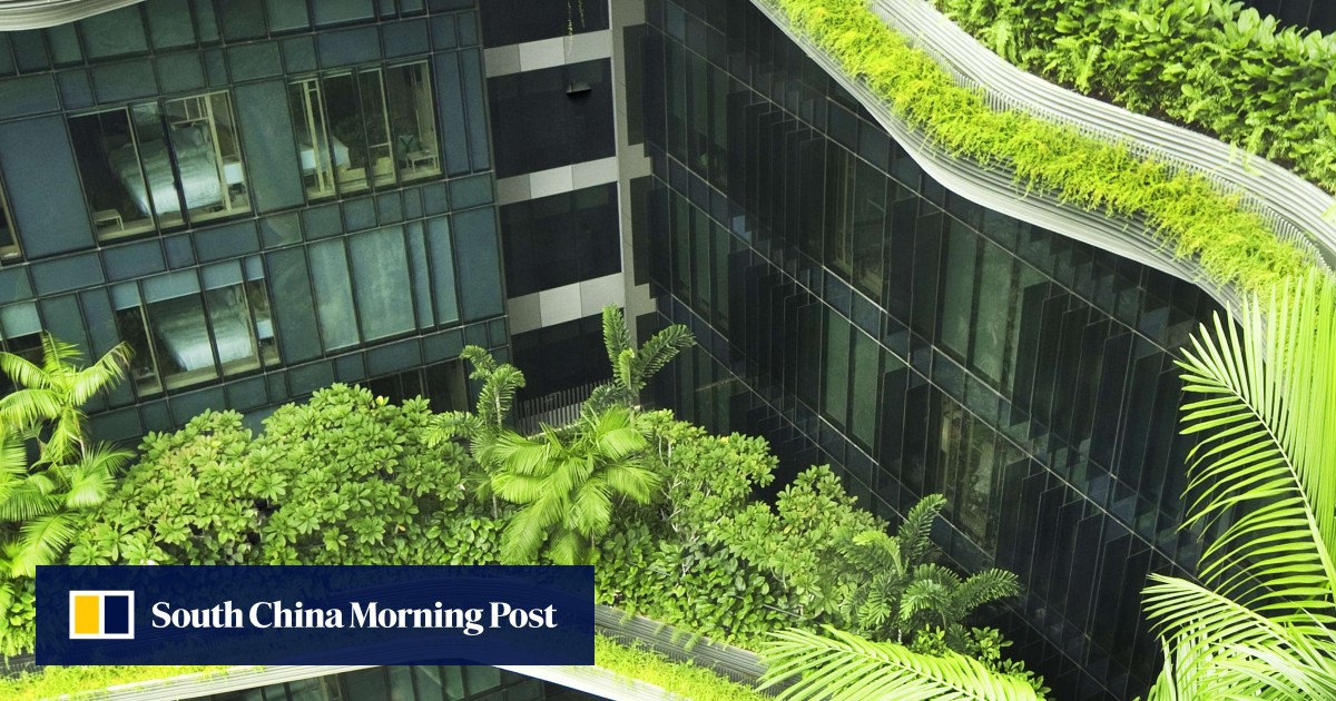 Buildings that blend with nature: why Singapore has them in abundance : The incredible photo showing an beautiful view. Its hues are striking and combination flawlessly. The composition looks wonderful, and the details are also very clear.