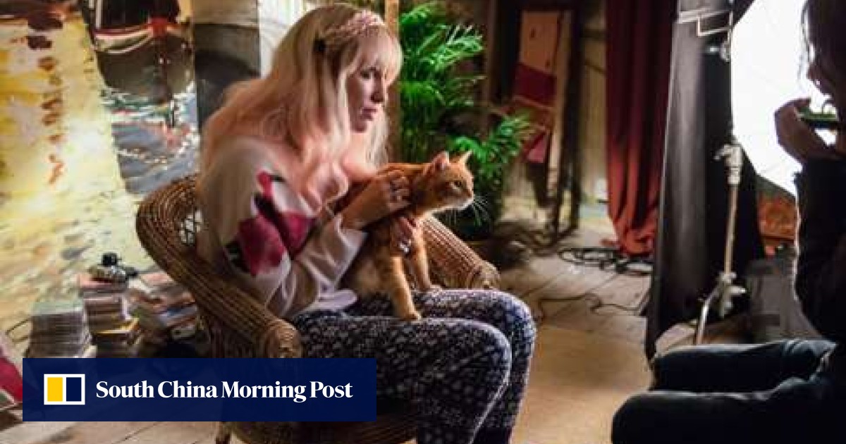 Film Review A Street Cat Named Bob True Story Of Addict And