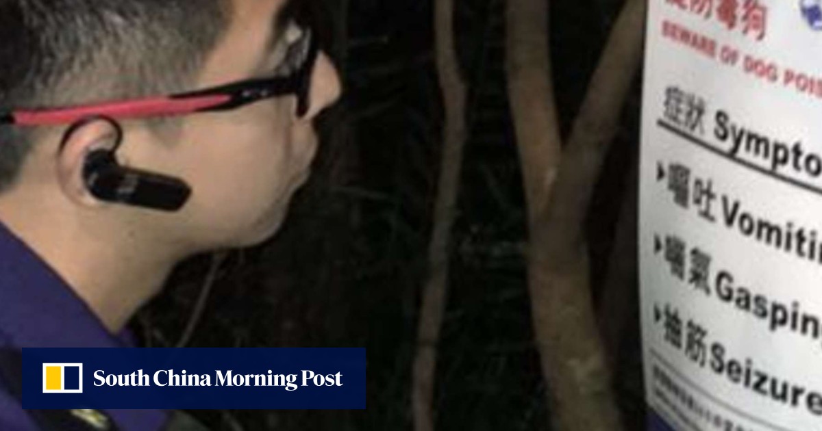 Hong Kong police warn pet owners after two dogs eat poisoned bait in notorious Bowen Road