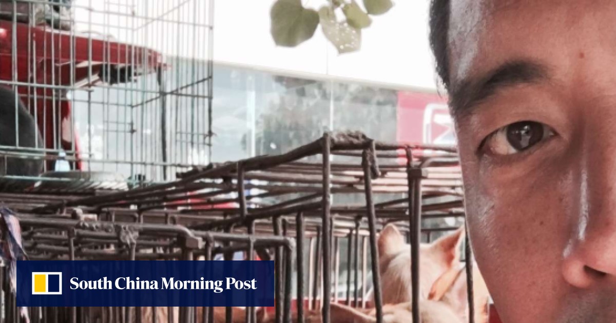 How Yulin dog rescuer Marc Ching went from hero to hounded South