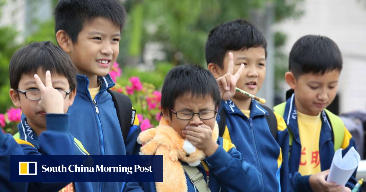 All Hong Kong primary schools should take part in new