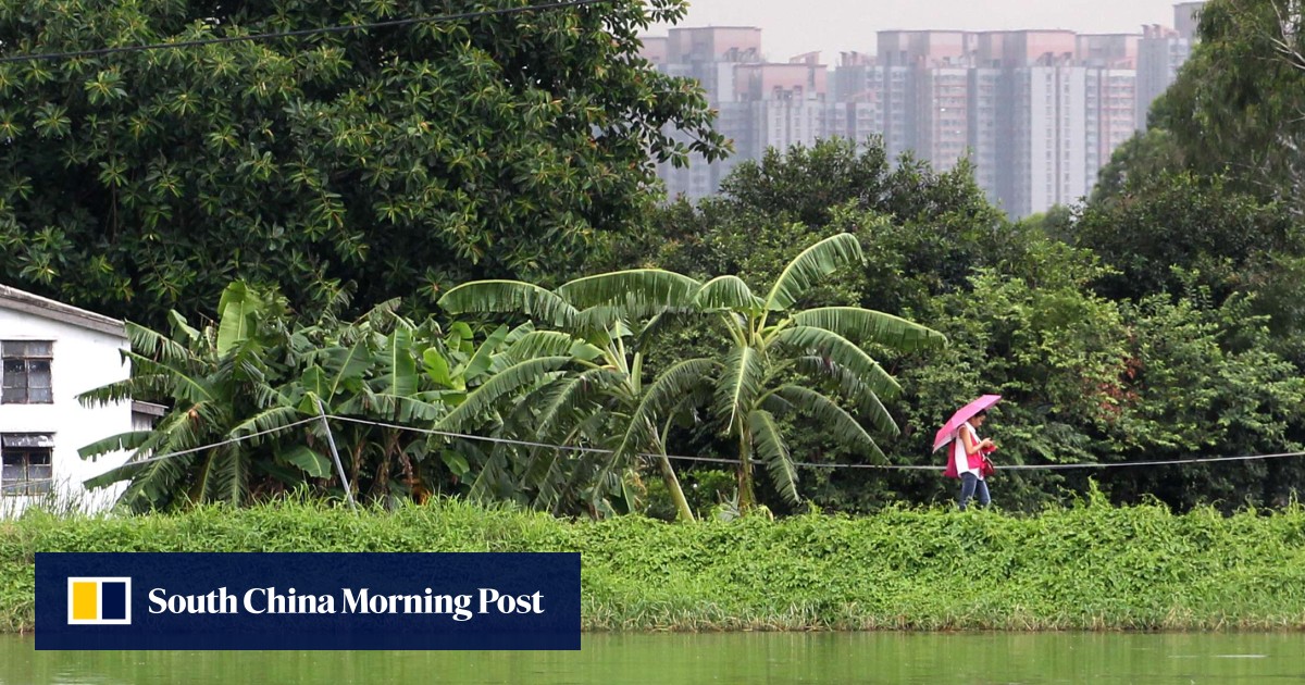 Hong Kong’s Town Planning Board rejects wetland development plan for a