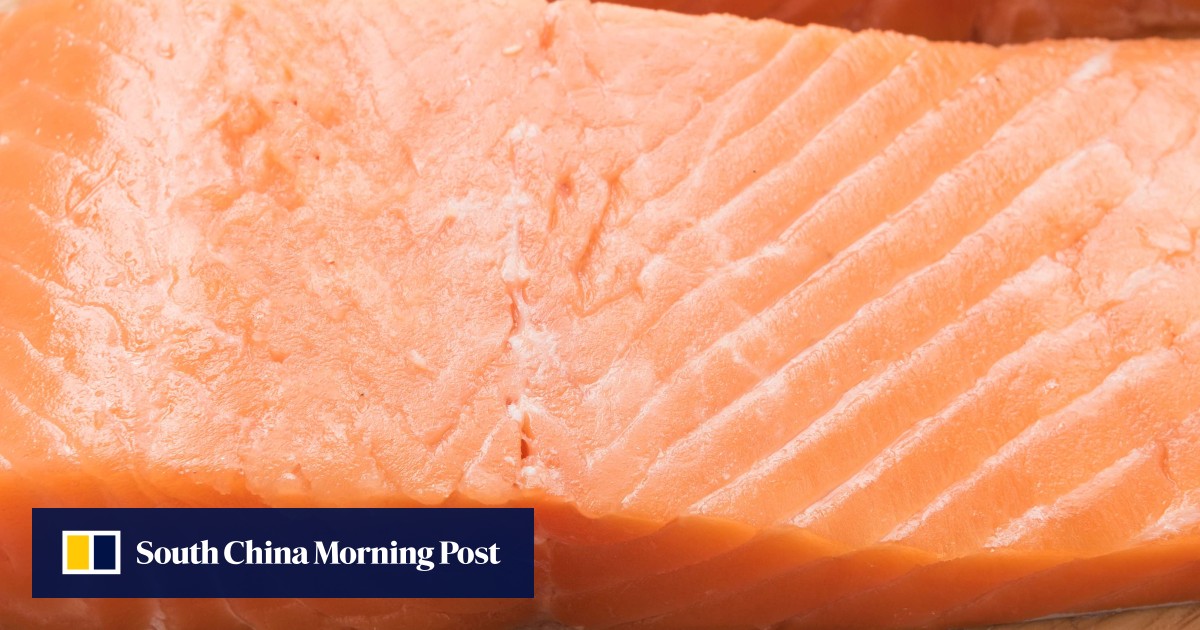Is wild salmon a better and healthier choice than farmed? South China