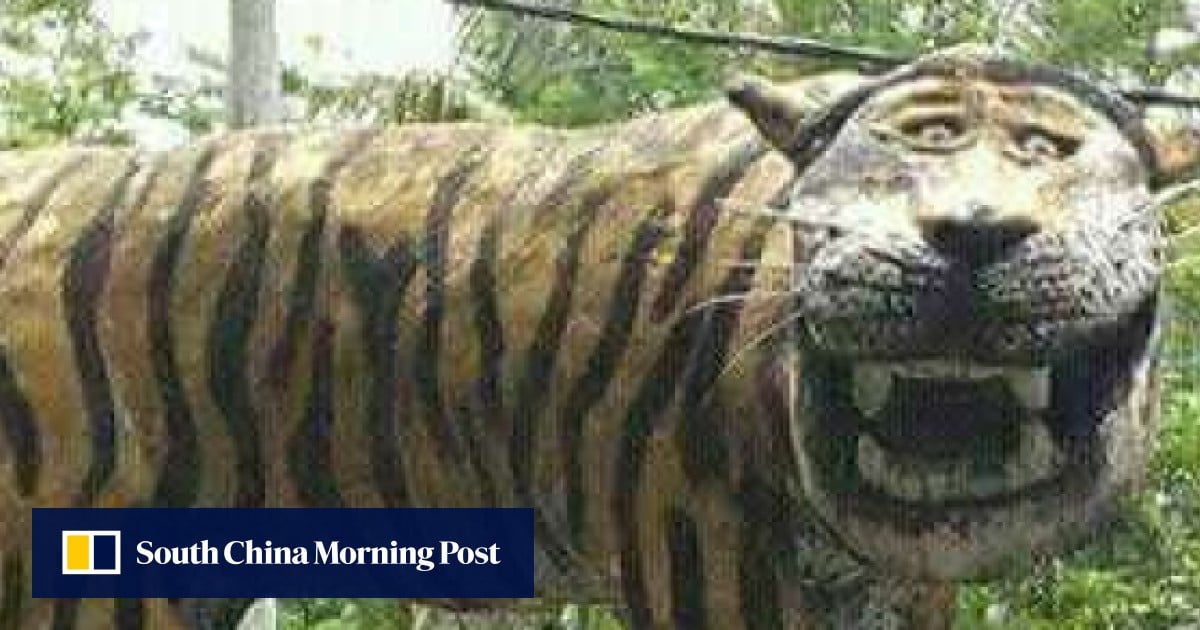 Roar no more Indonesian military removes mocked tiger statue South