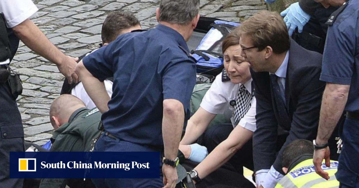 Mp who helped stabbed policeman