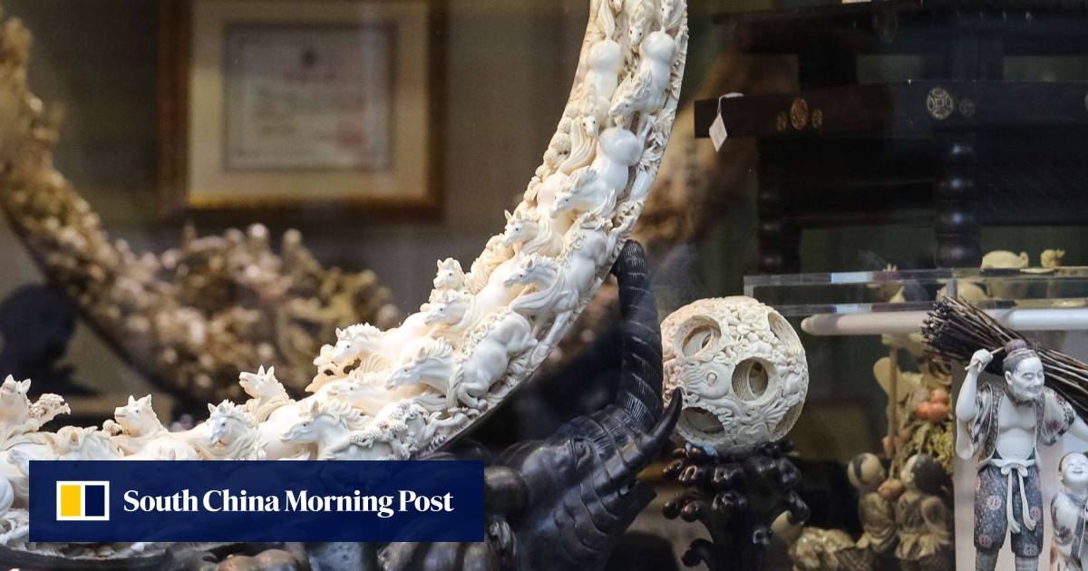 One third of licensed Hong Kong ivory retailers encourage buyers to