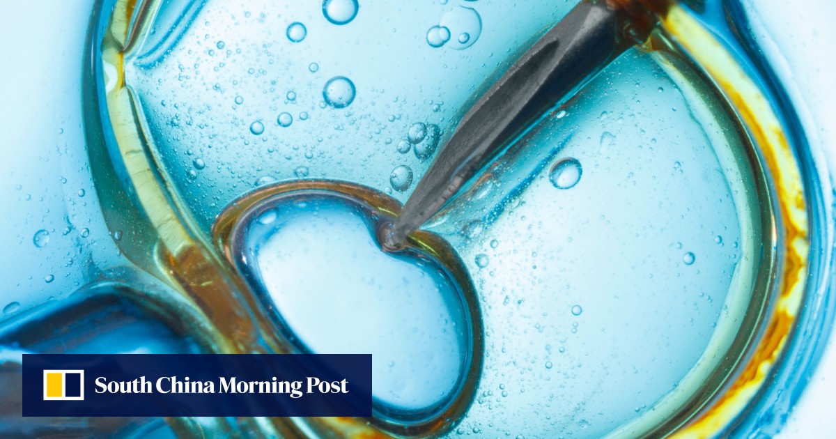 Fertility in numbers how having children in Hong Kong has changed over