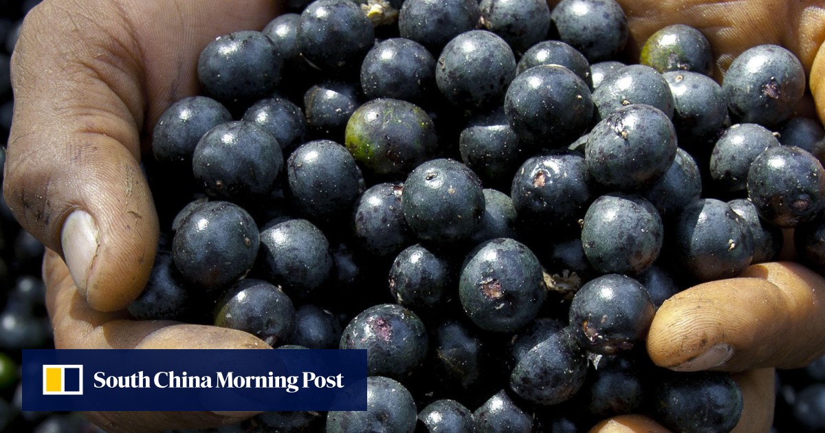 Why acai berries probably won’t boost your sex drive or protect you