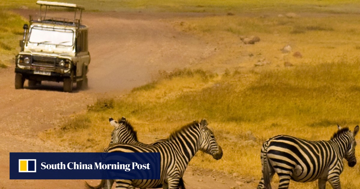 The Good Bad And Ugly Sides To African Safaris South