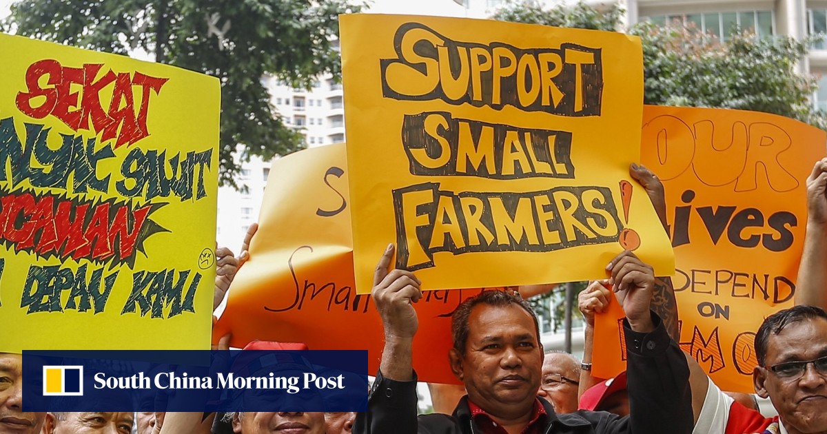 Malaysian palm oil farmers protest ban by European