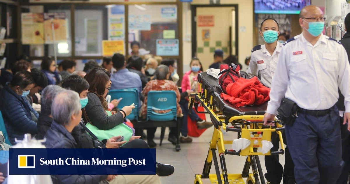 Flu season a reminder of Hong Kong’s pressing need for more foreign