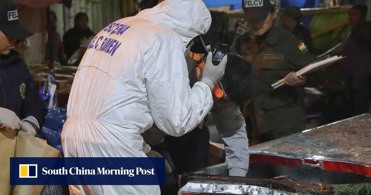Eight dead as deepfried llama stall explodes in Bolivia amid Carnival