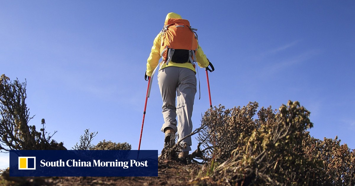 best hiking pole