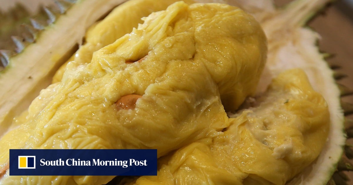 After A Durian Causes University Evacuation Here Are Five Other Incidents With The Pungent Fruit South China Morning Post